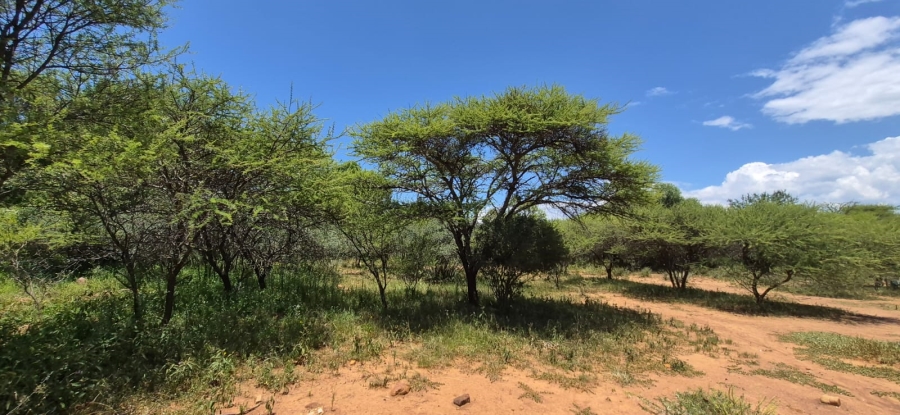 4 Bedroom Property for Sale in Zeerust North West